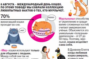 Top.Mail.Ru