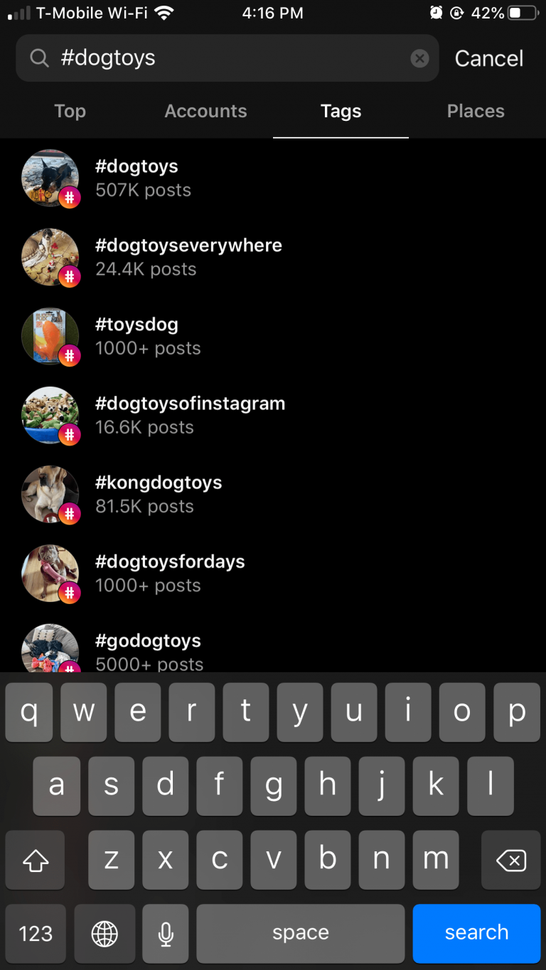 instagram-hashtag-example-dog-toys-768x1365.png