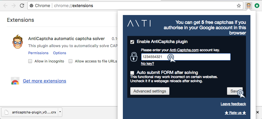 AntiCaptcha plugin settings. Anti-captcha.com API key input.