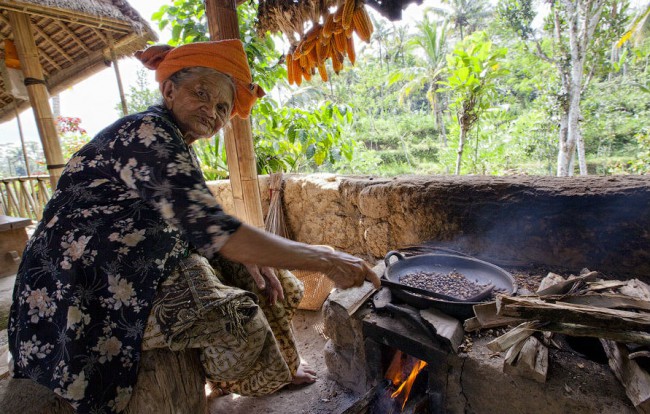 Местные жители обжаривают Kopi Luwak