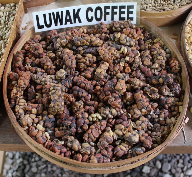 Luwak можно приобрести и на местном рынке
