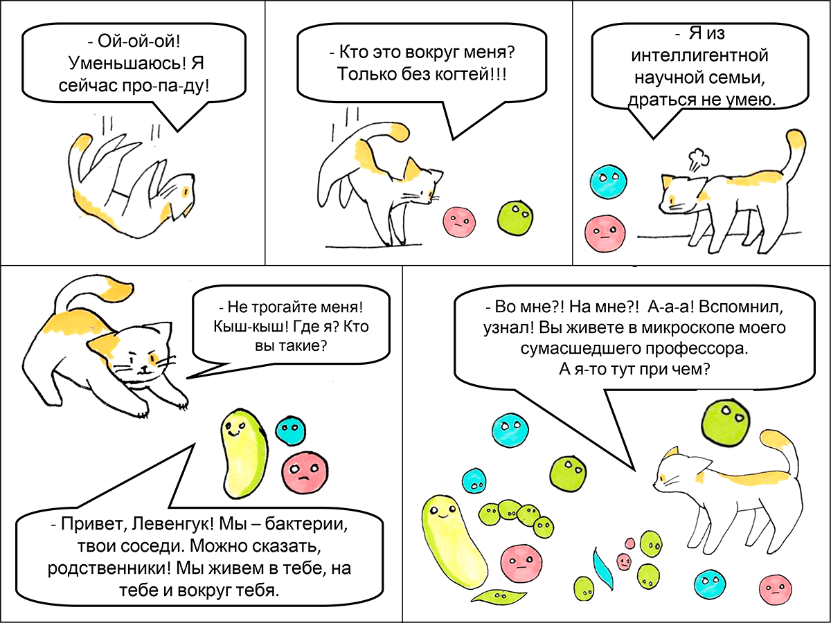 Бактерии vs мыло