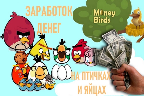 Заработок денег на птичках и яйцах
