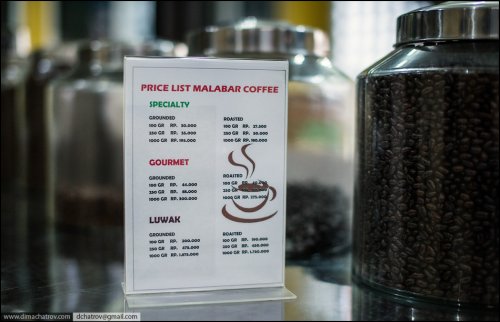 Как производят самый дорогой кофе в мире