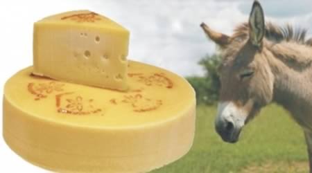 7 Самых странных видов сыра