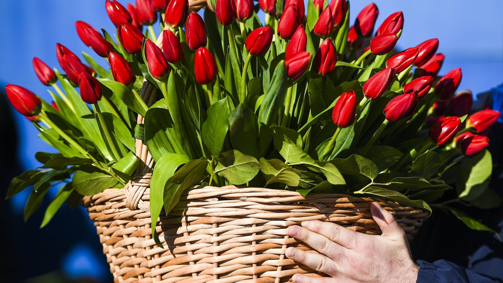 Продажа цветов в Международный женский день на Рижском рынке в Москве. 8 марта 2018 - РИА Новости, 1920, 07.03.2018