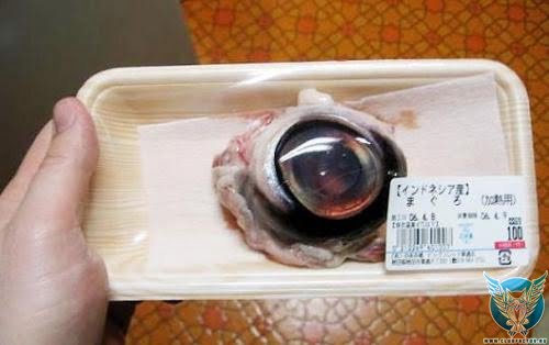 Глаз тунца