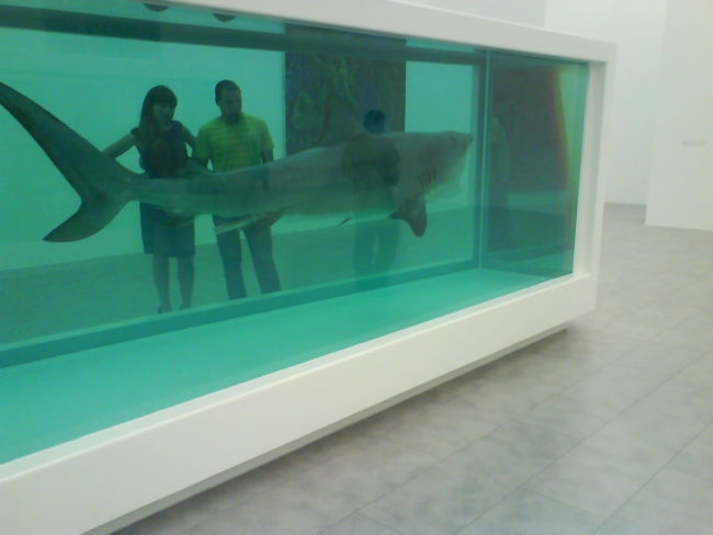 "Dead Shark" Art Piece - $12 million