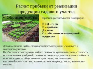 Расчет прибыли от реализации продукции садового участка Прибыль рассчитываетс
