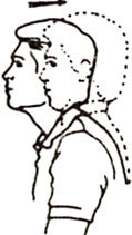 Укрепляем «фундамент» лица: упражнения для мышц шеи