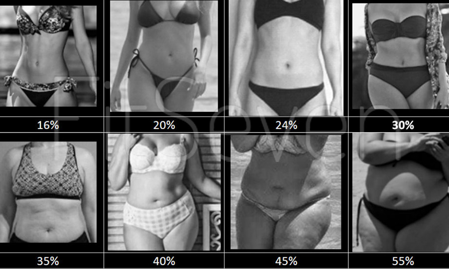 Процент жира в организме - женщины