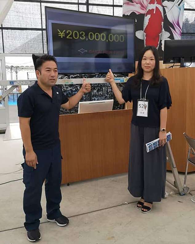 After a tense battle, Miss Yingying from Taiwan emerged the successful bidder, buying the fish from breeder Kentaro Sakai for 203 million Yen