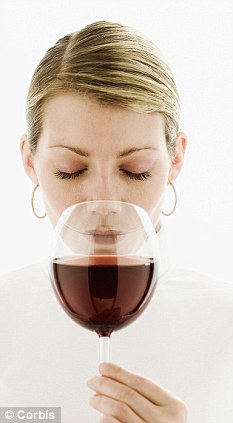 Sniff out a bargain: The most expensive wine isn