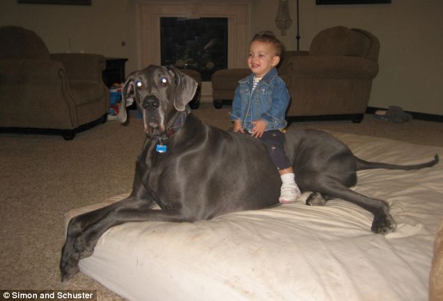 A doggone miracle: George the Great Dane with the Nasser