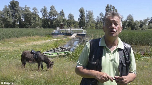 Slobodan Simic creates the cheese from 140 donkeys, with only around 12 producing milk at any time