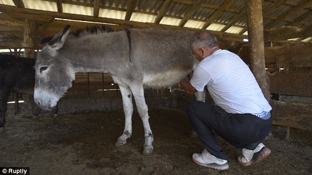 One litre of the donkey