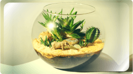 Флорариум в круглой стеклянной вазе