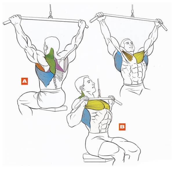 Техника выполнения упражнения для мышц спины: вертикальная тяга широким хватом