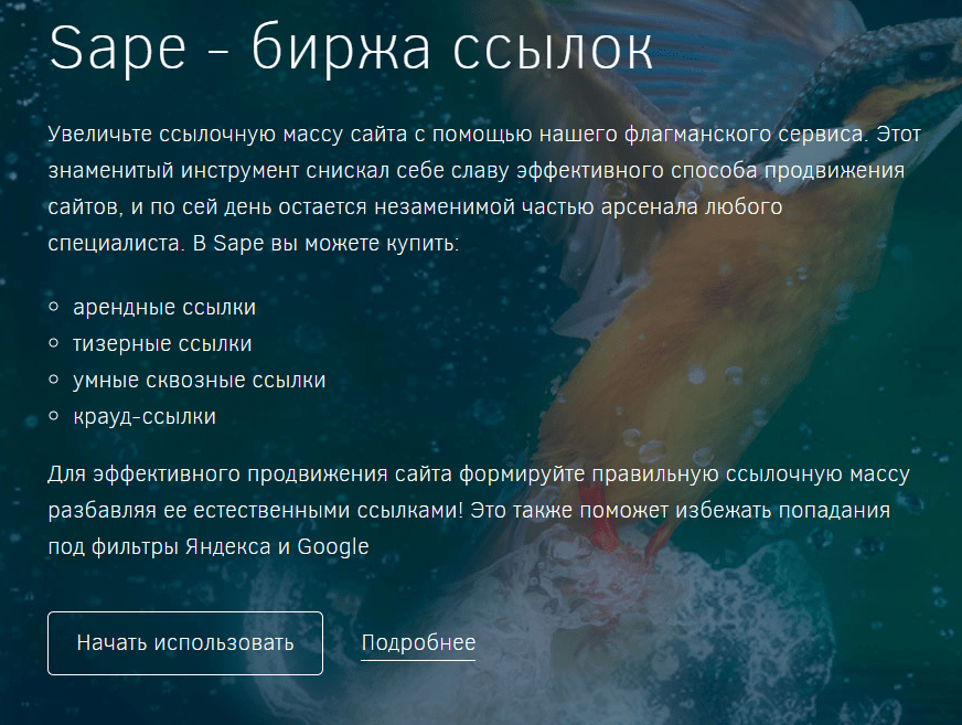 Скриншот начального экрана биржи Sape.ru