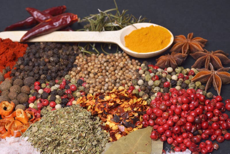 The Composition with different spices and herbs royalty free stock photo