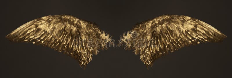 Golden wings. Two golden wings isolated on dark background stock image