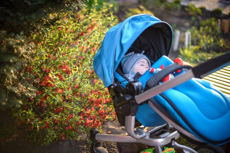 Sweet little baby boy sleeping in stroller in autumn park . royalty free stock photos