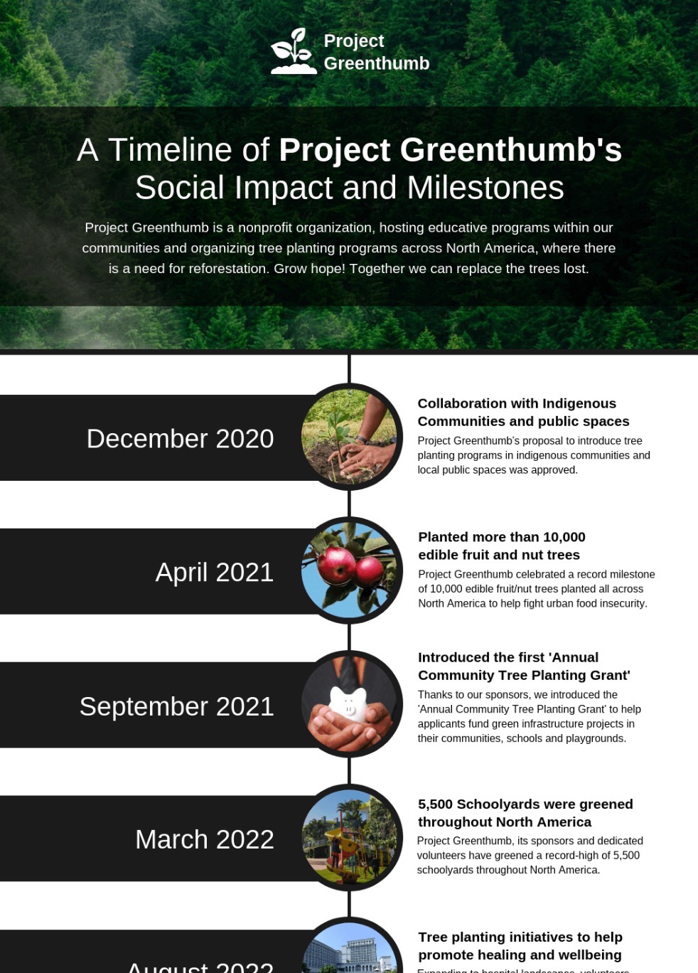 Nonprofit Project Timeline Infographic Template
