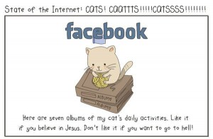 котики в Facebook