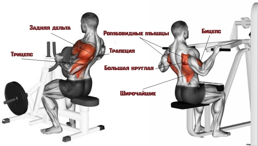 Какие мышцы задействует рычажная тяга