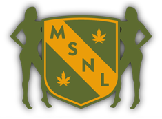 MSNL Logo