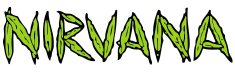 Nirvana Shop Review