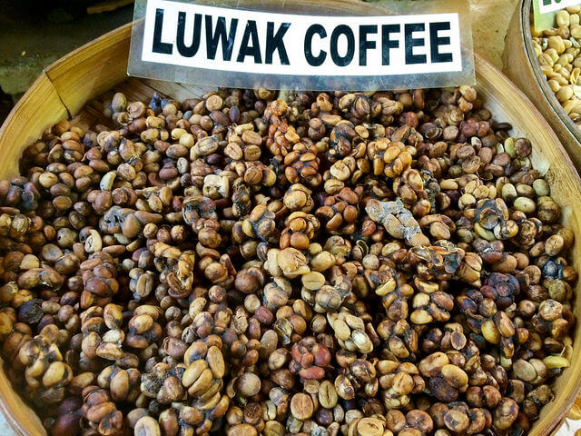 Необработанный кофе Копи Лювак