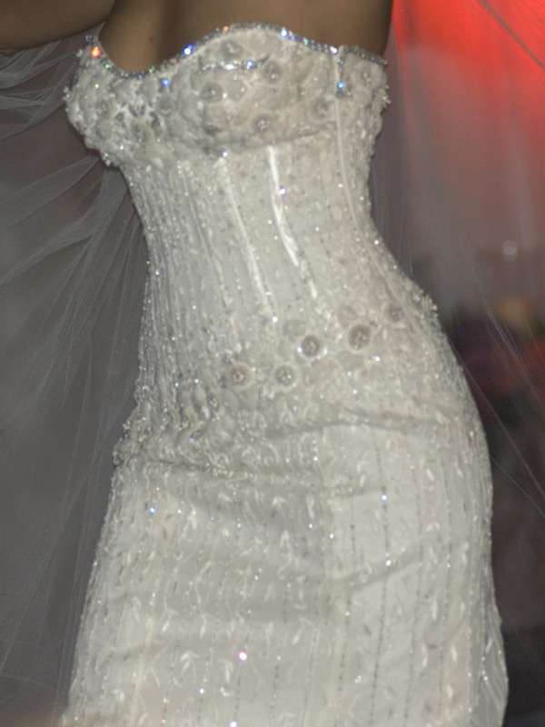 The Diamond Wedding Gown most expensive wedding dress