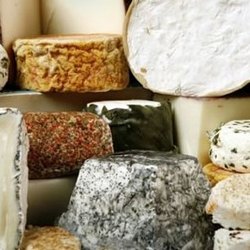 Топ-15 самых дорогих сыров в мире