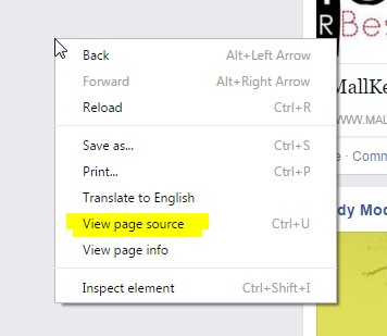 Viewing page source on chrome browser in windows OS