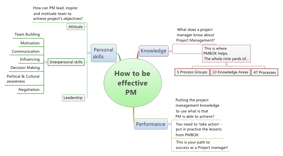 Effective project manager