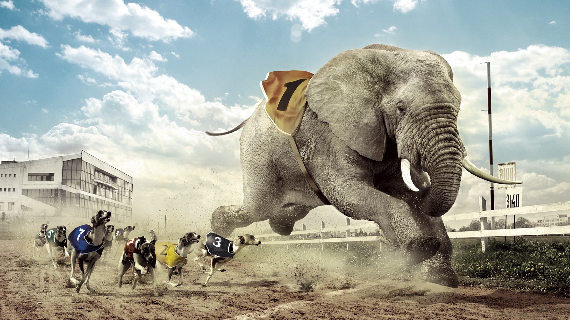 Bitcoin money transfer: competing with fast elephant