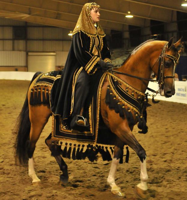 лошадь англо арабская