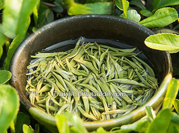 Biluochun Tea